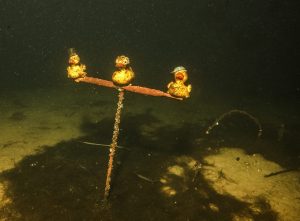 03118-enten-im-loch-w